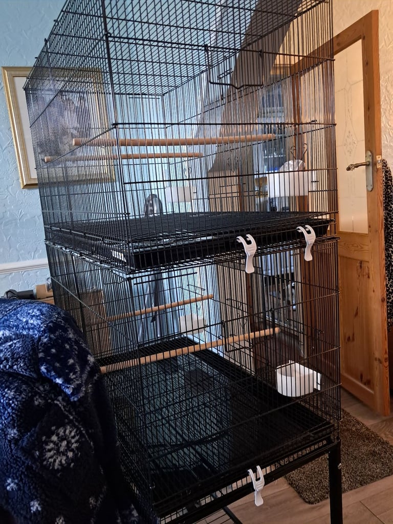 Double Fight Cages on Stand 
