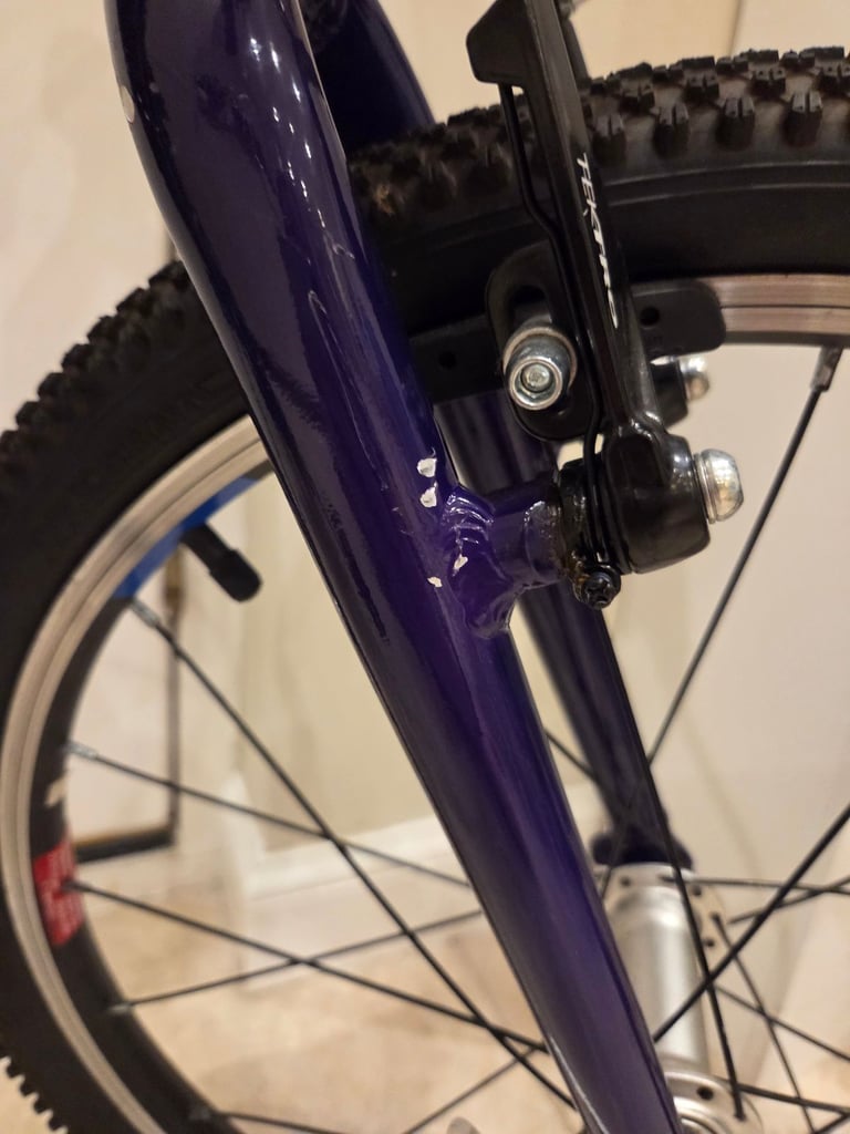 Children's wild bike