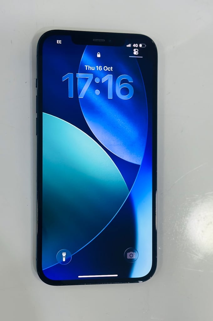 iPhone 12 Pro Max-256Gb