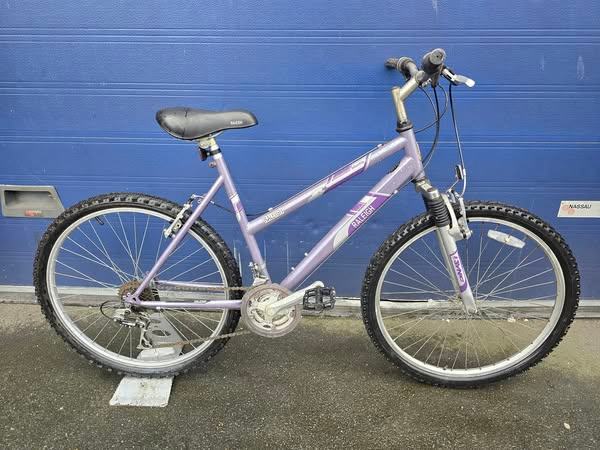 Unisex mountain hot bike RALEIGH MANTIS