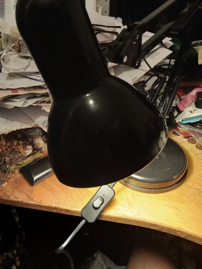 LLoyTRON Swing Polise Lamp