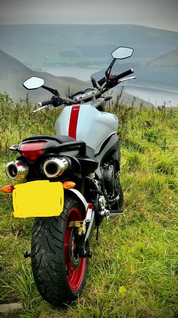 Yamaha, FZ 6, 2008, 599 (cc)