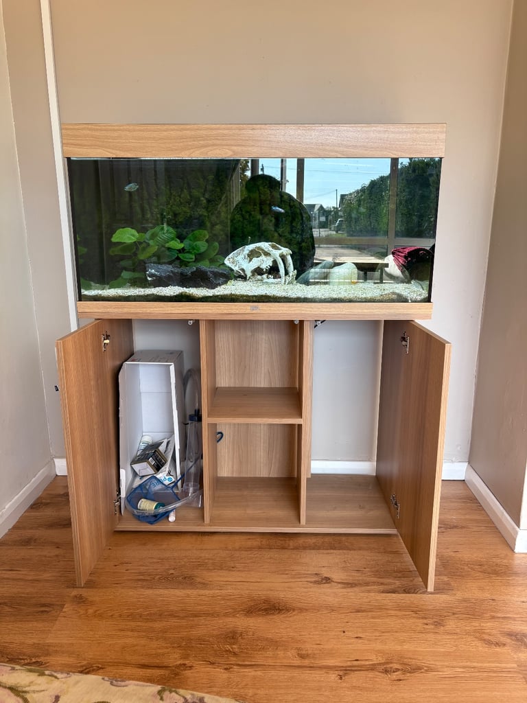 Open to sensible offers - JUWEL fish tank 180L (fish included) 