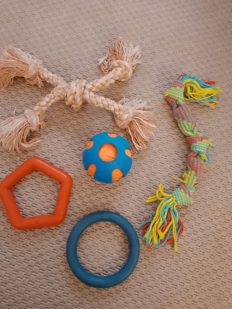 image for Dog's toys (lightly used)