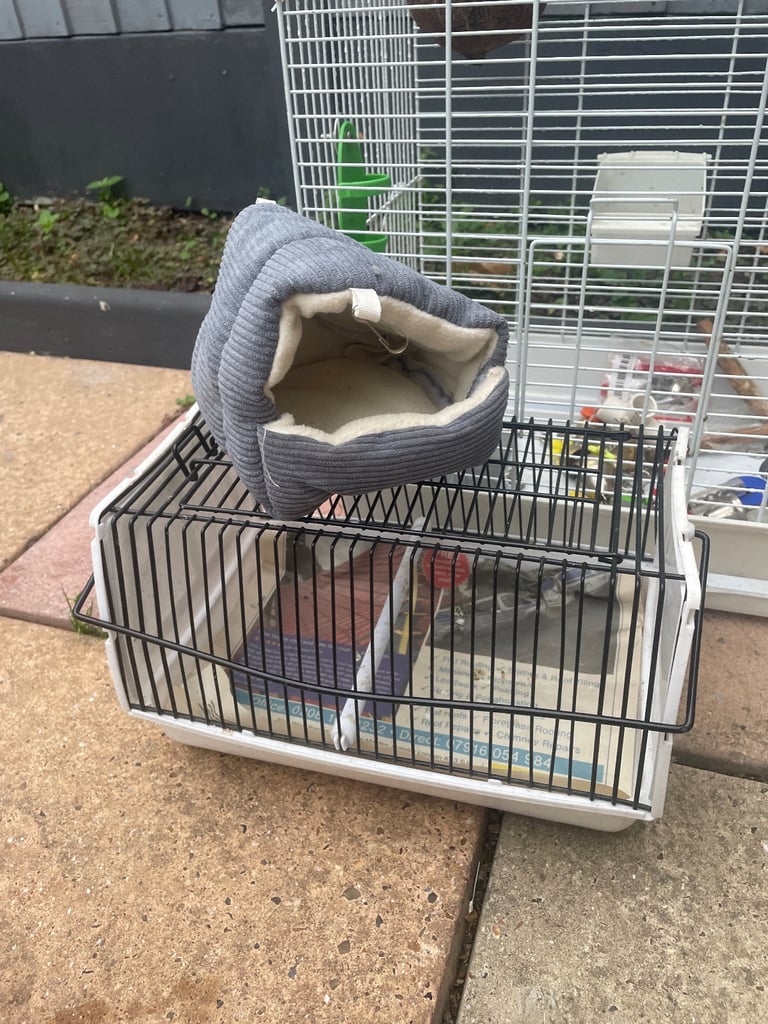 Bird cage 