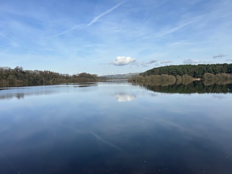 CARP SET UP WANTED FISHING TACKLE GEAR 