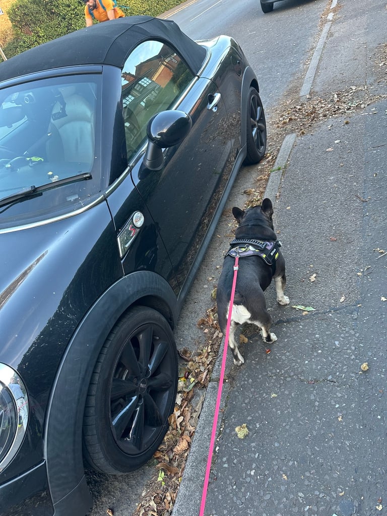 Mini, ROADSTER, Convertible, 2012, Manual, 1995 (cc), 2 doors