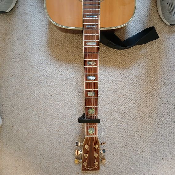 Acoustic guitar