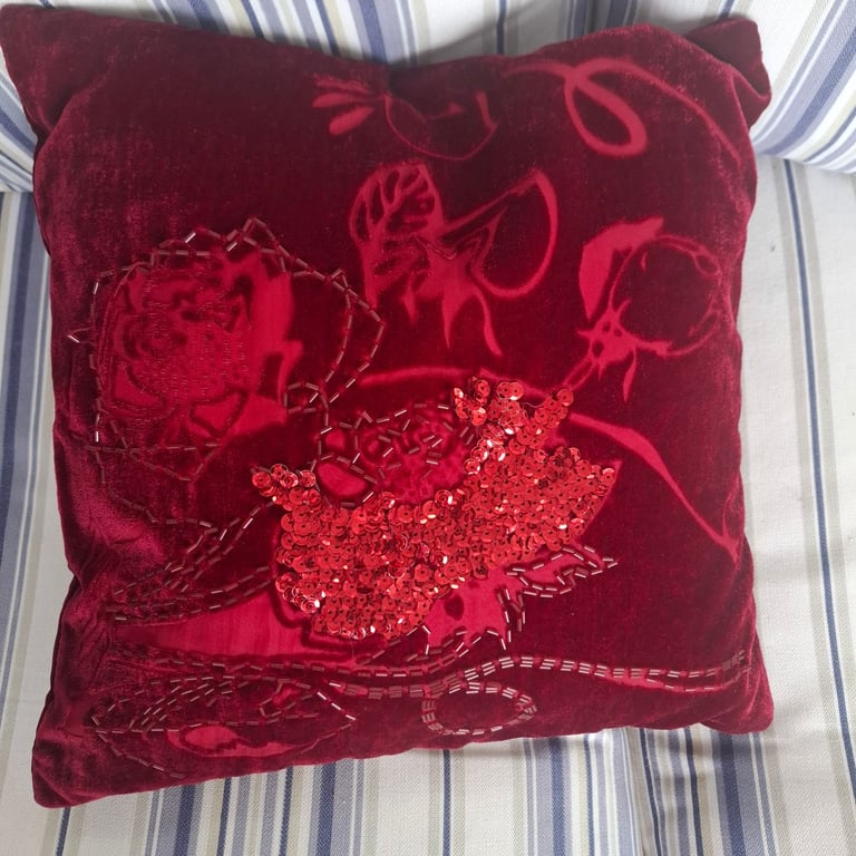Red velvet embossed cushion