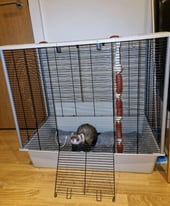 Ferret/Rat cage for sale