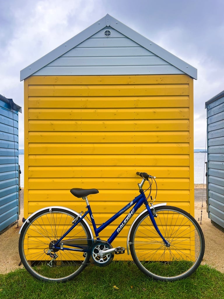 Fully Serviced Ladies Raleigh Pioneer 