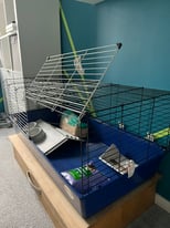 Guinea pig cage 