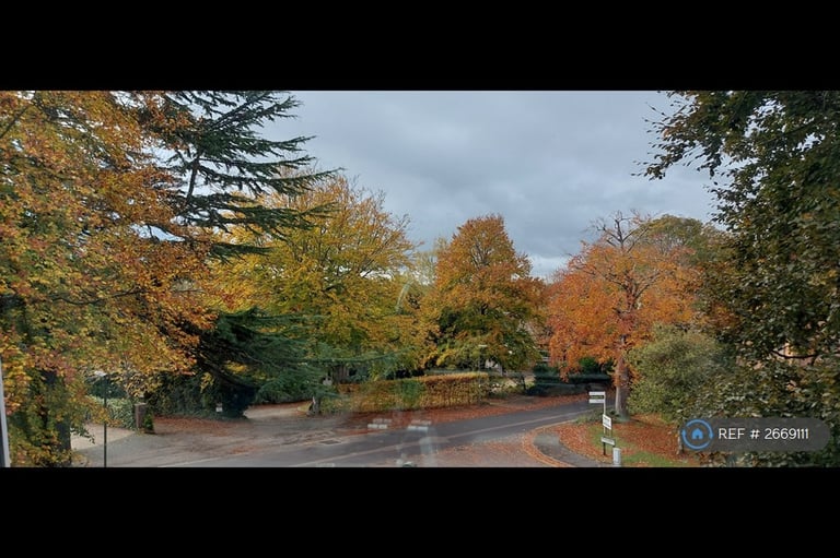 1 bedroom flat in Rossiter Lodge, Guildford, GU1 (1 bed) (#2669111)