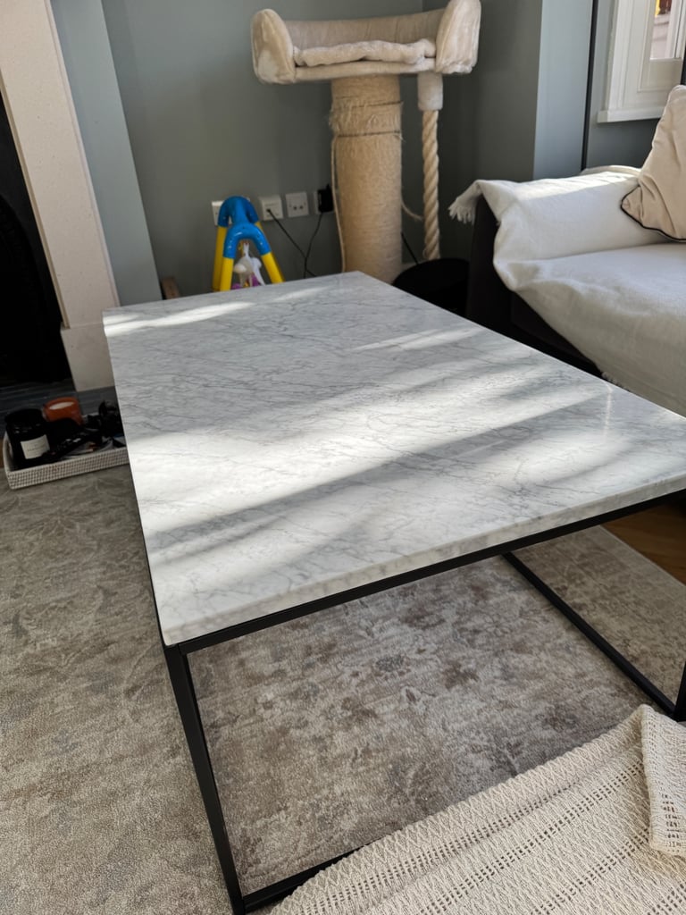 West Elm Marble Rectangle Coffee Table (112 cm x 61 cm)