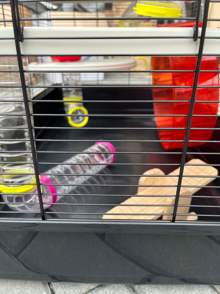 Hamster cage