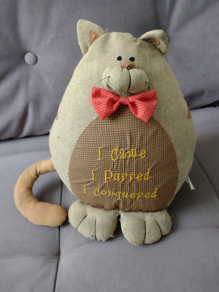 Cat door stopper 