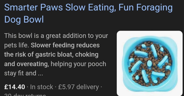 Dog slow release feeder bowl foraging activity 