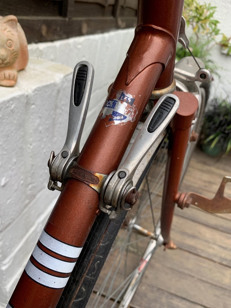 Vintage Viking Vision Road Bike Project 