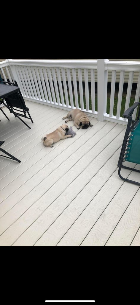 image for Composite decking for sale, collection only. 