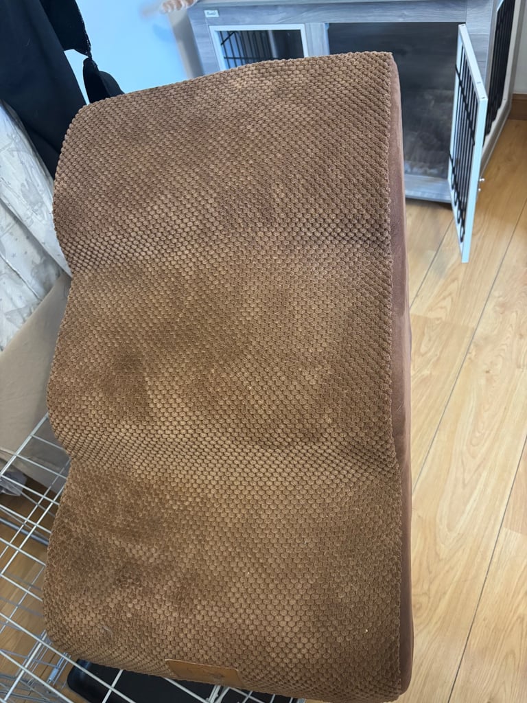 Dog stairs 