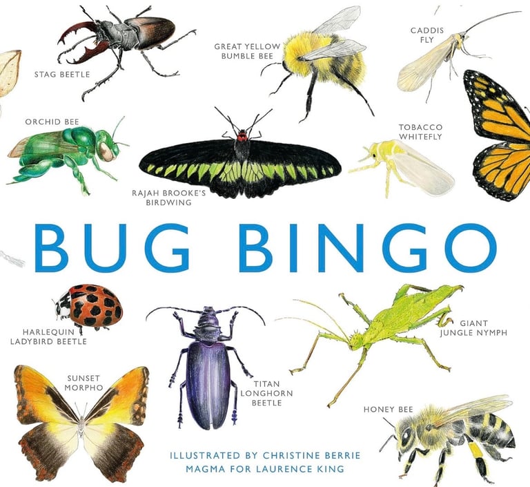 image for Big Bingo game in mint conditions