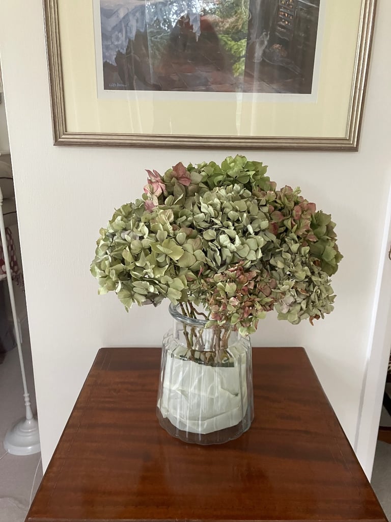 image for Glass vase with dried Hydrangeas. Collect Fulham
