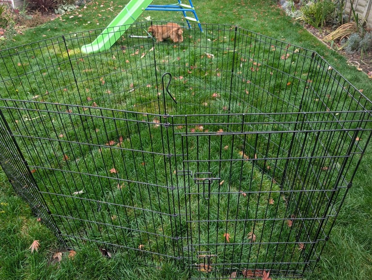Pets at home large dog pen