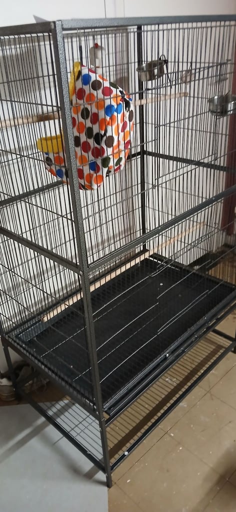 Bird's Large Cage
