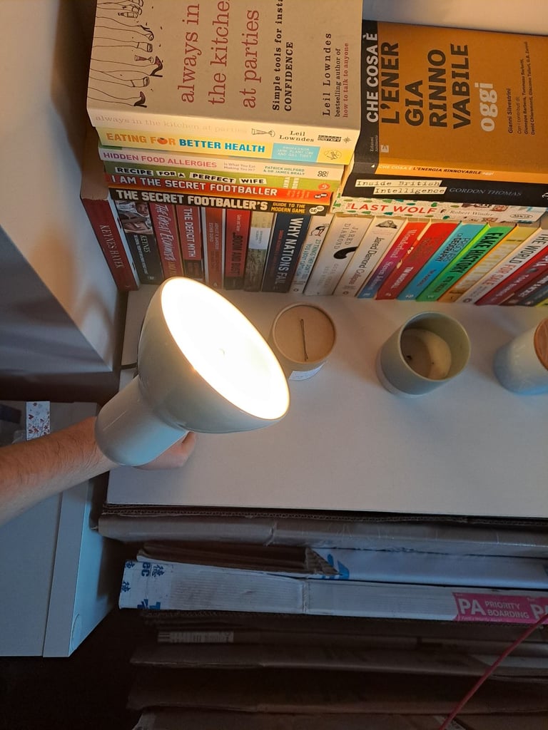 Bed or work space lamps