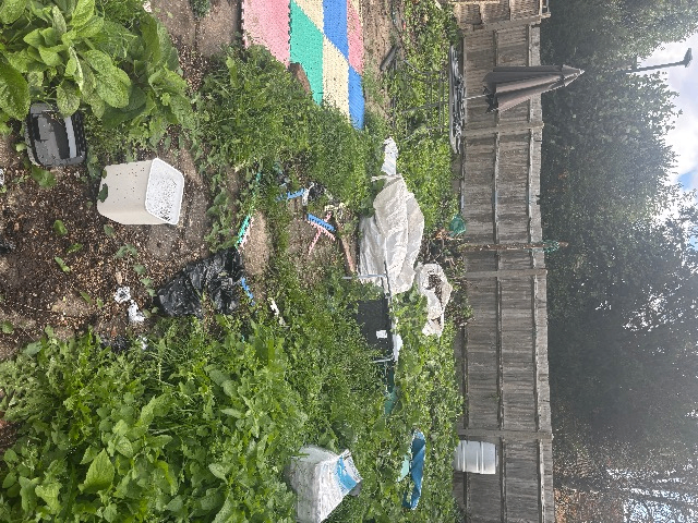 Urgent - Swap homes - Ground floor swap ground floor council