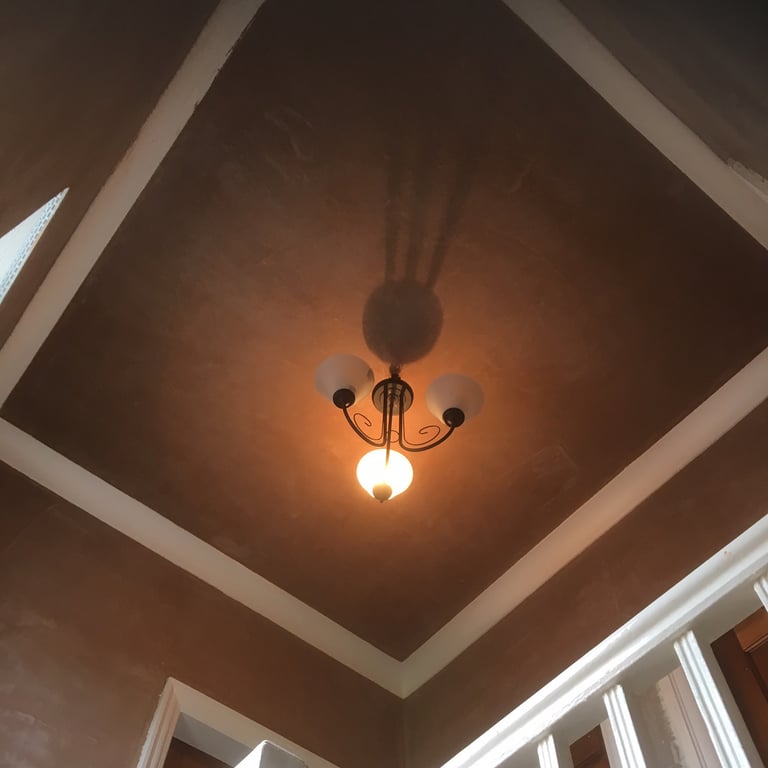 Plasterer 