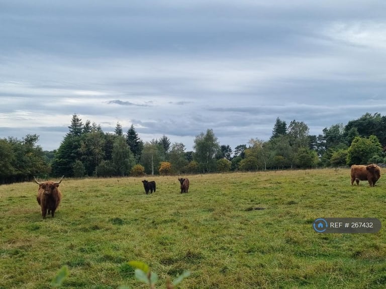 3 bedroom house in Fourwinds, Aberdeen, AB15 (3 bed) (#267432)