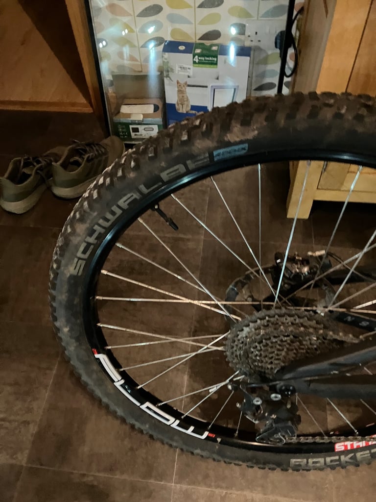 Mountain bike - carbon frame 