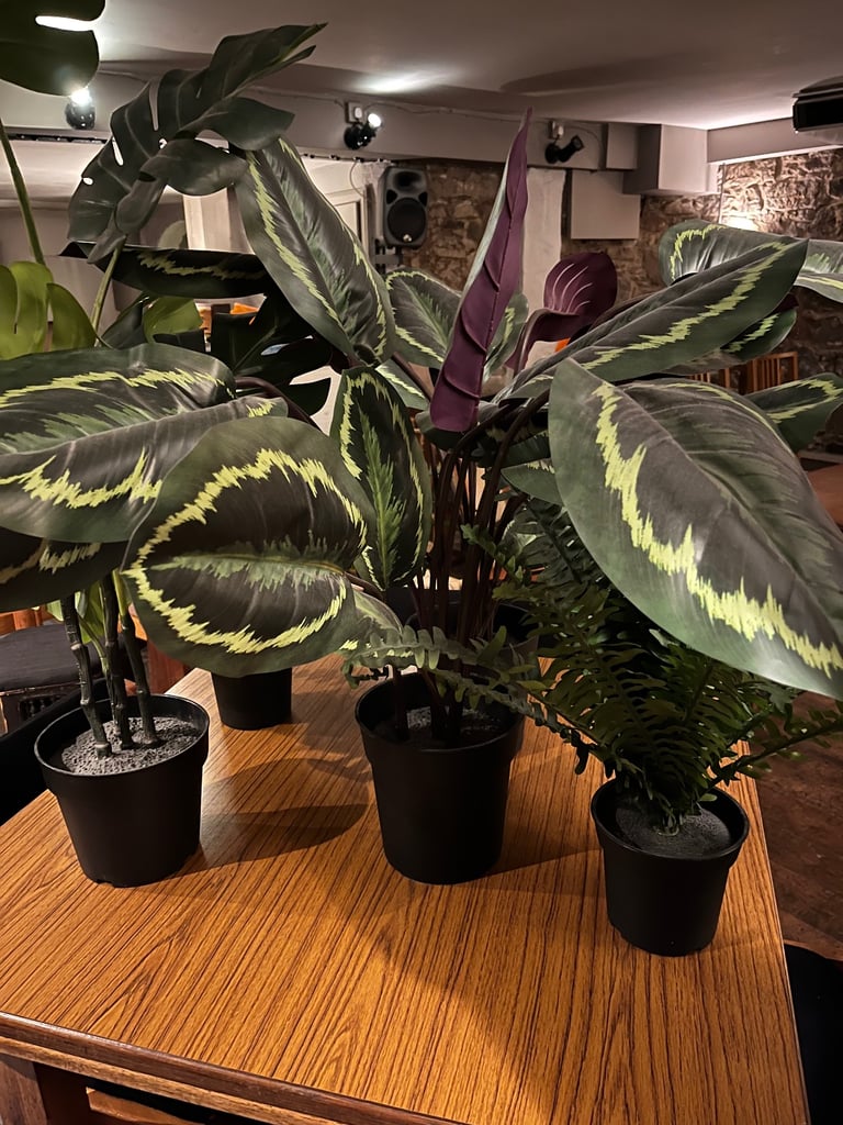image for Artificial plants 