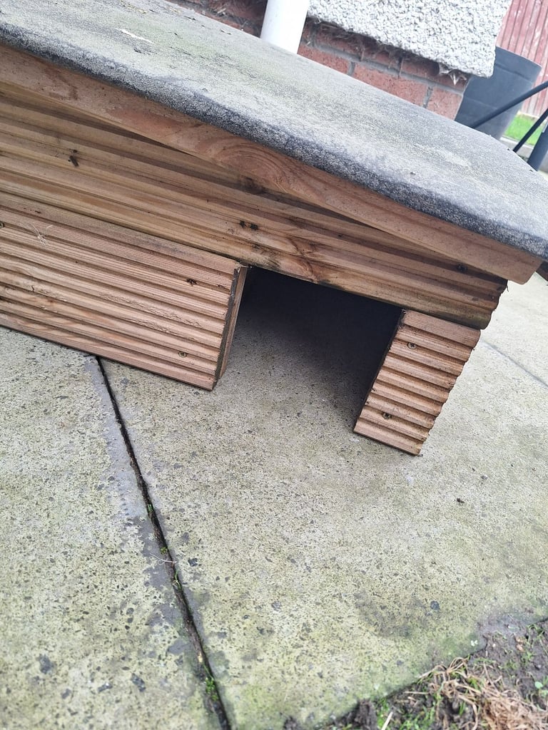 Hedgehogs shelter