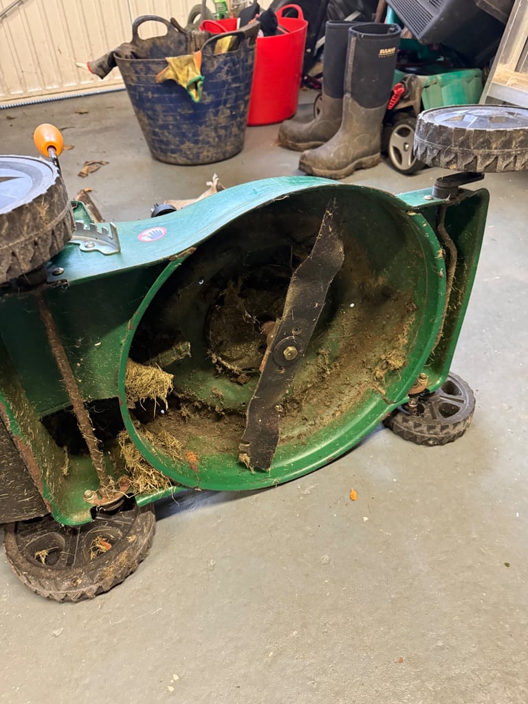 Briggs and Stratton 450e 125cc 