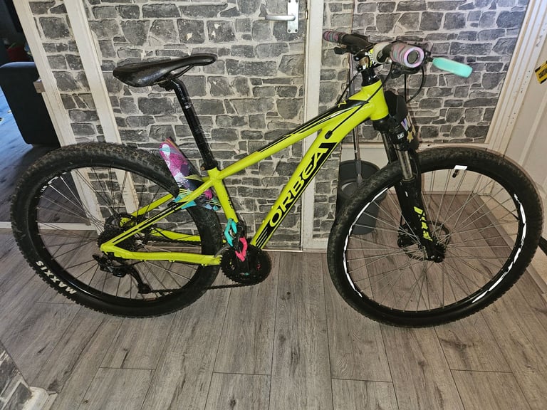 Orbea mountain bike