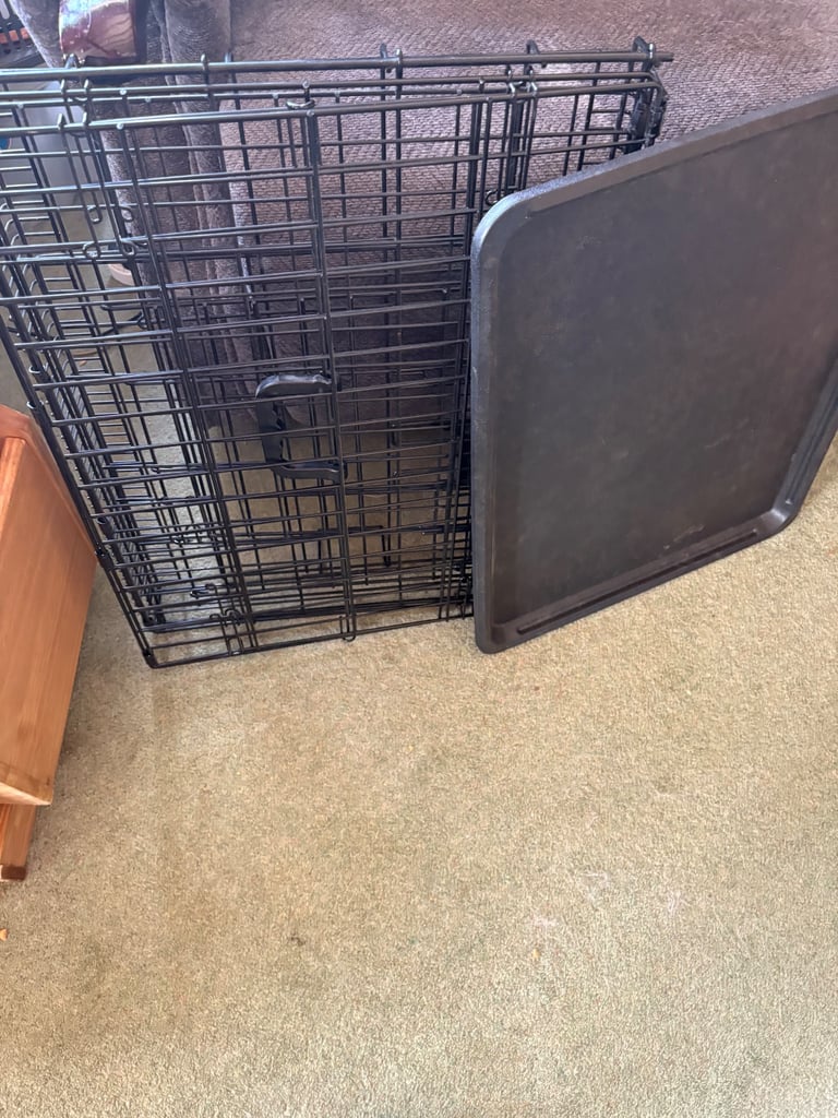 Small pet crate