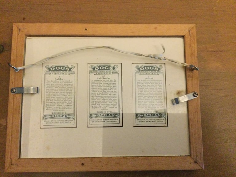 3 Cigarette cards mounted in a frame 6x8 pictures of dogs