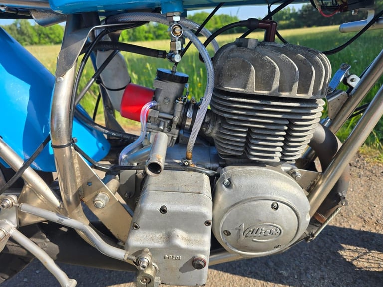 DMW HORNET 