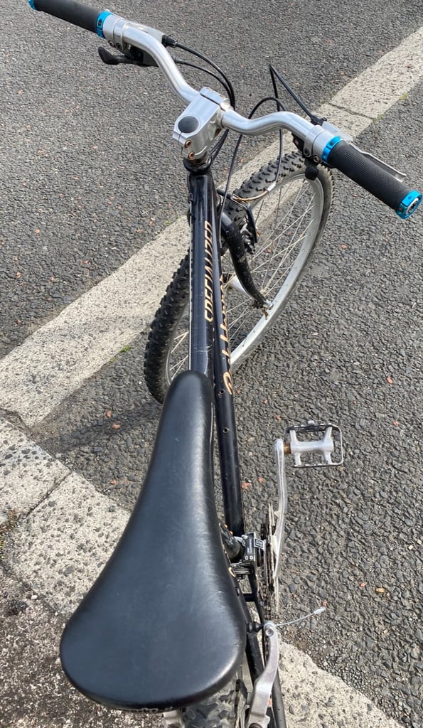 Retro Specialized 17”