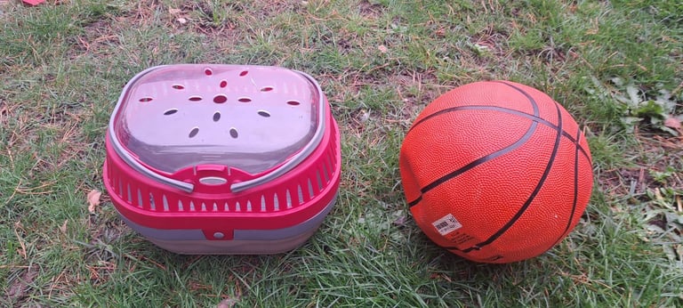 image for Guinea pig/pet carrier