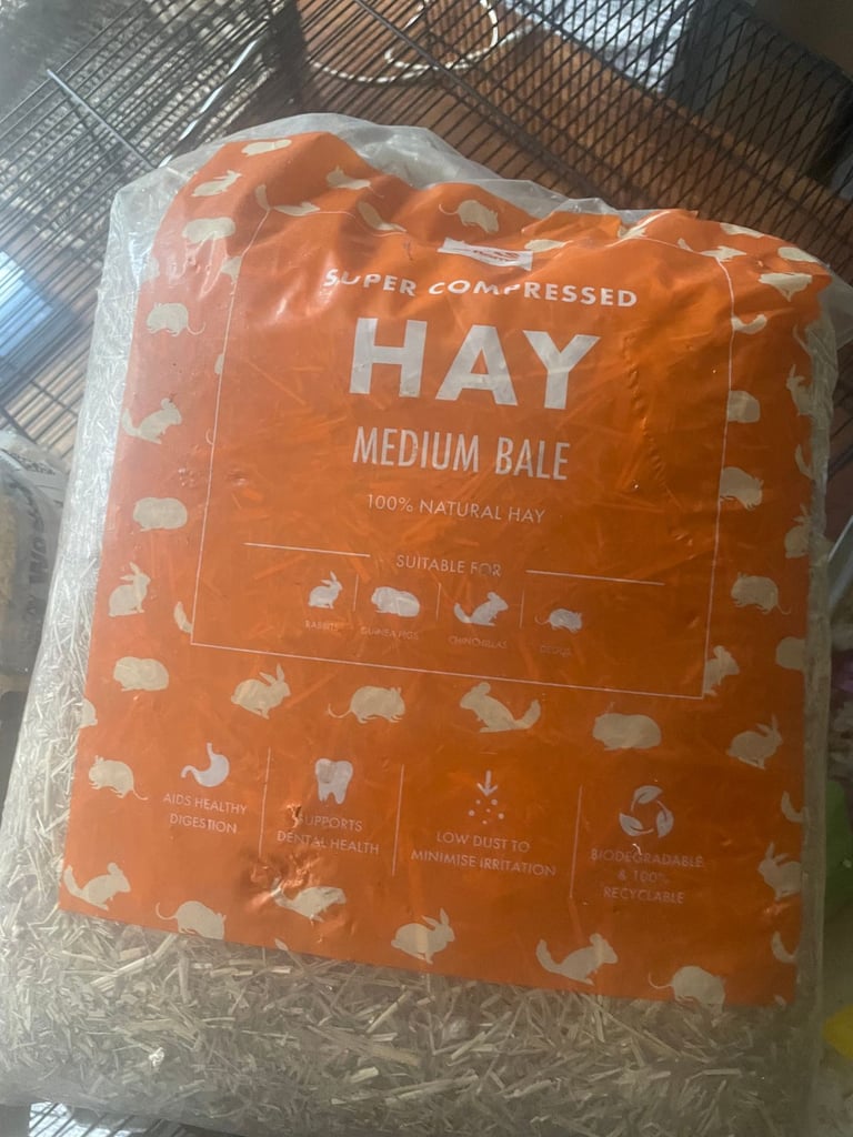 Hamster, Mouse Cage with Hay, Shavings and accessories