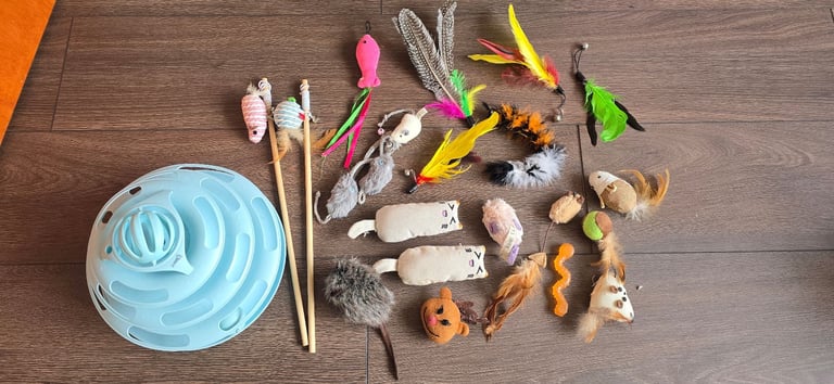 image for Cat/Kitten Toys