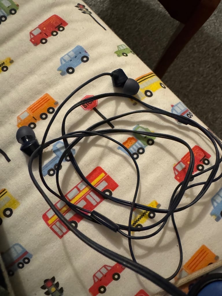 JBL Earphones wired