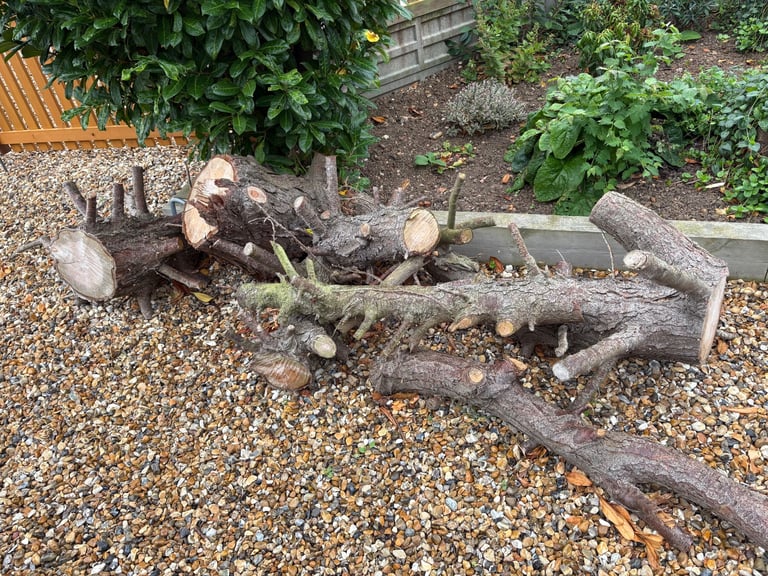 FREE Wood for log burner. Fully seasoned.