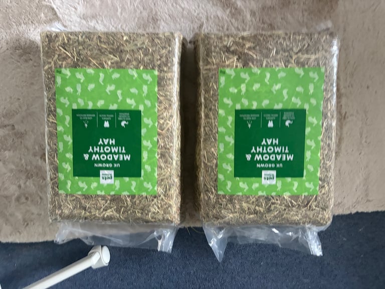 two friendly rabbits , pen,cage,accessories 