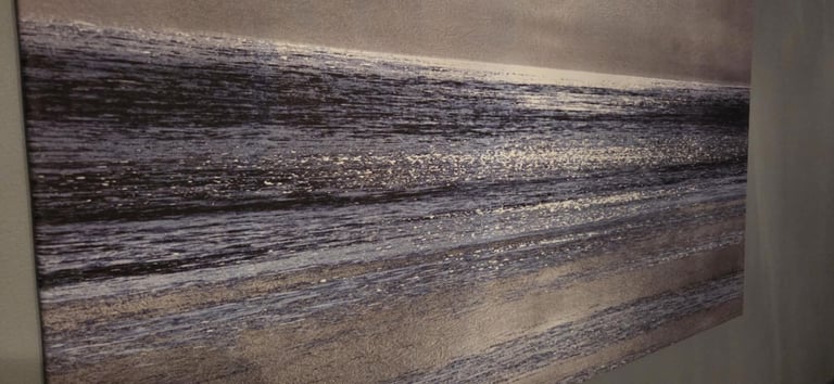 Sliver Seascale wrapped canvas print
