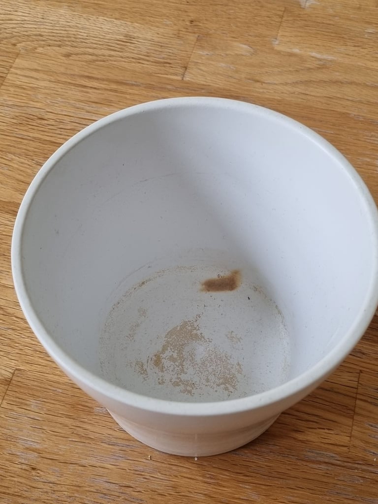 White plant pot for sale
