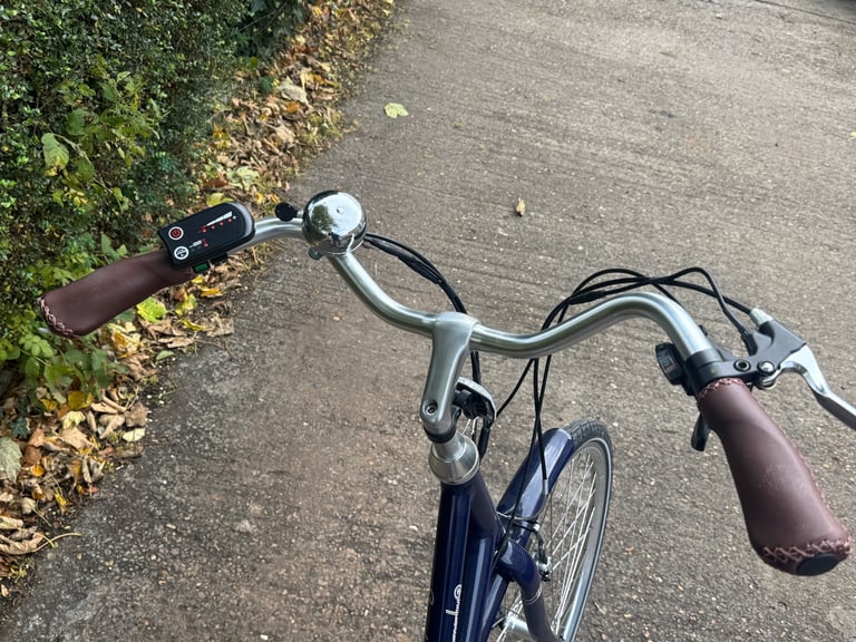 Ladies Electric Bike 